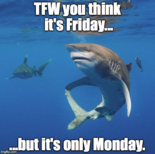 TFW you think it's Friday... | TFW you think it's Friday... ...but it's only Monday. | image tagged in monday,mood,current mood,friday,mondaymood,tfw | made w/ Imgflip meme maker