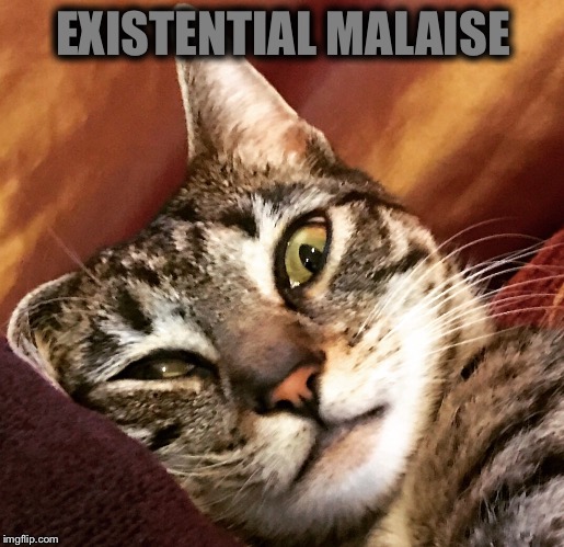 My Roommate’s Cat Feels the Weight of Existence | EXISTENTIAL MALAISE | image tagged in depressed cat,cat,tabby cat,depression,existence,existentialism | made w/ Imgflip meme maker