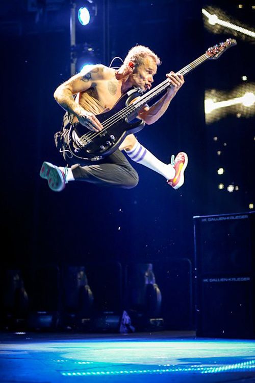 RHCP Flea Jump Blank Meme Template