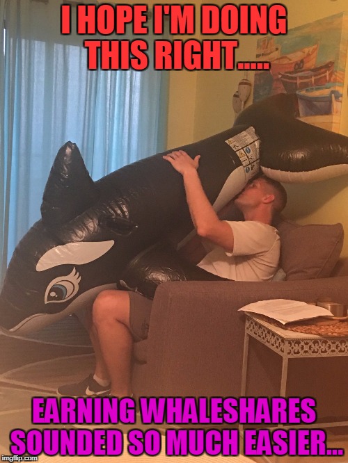 I HOPE I'M DOING THIS RIGHT..... EARNING WHALESHARES SOUNDED SO MUCH EASIER... | made w/ Imgflip meme maker