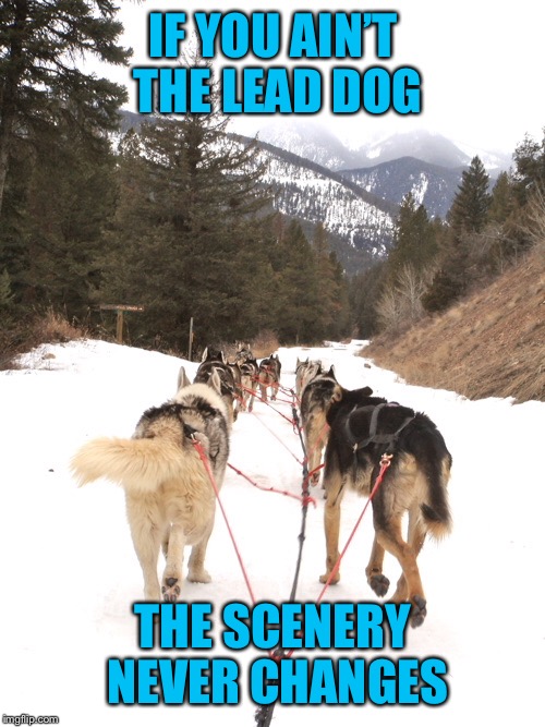 IF YOU AIN’T THE LEAD DOG THE SCENERY NEVER CHANGES | made w/ Imgflip meme maker