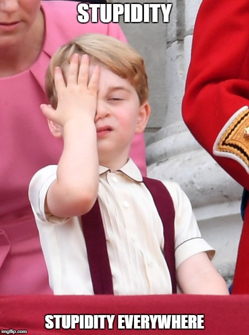 Prince George | STUPIDITY; STUPIDITY EVERYWHERE | image tagged in prince george | made w/ Imgflip meme maker