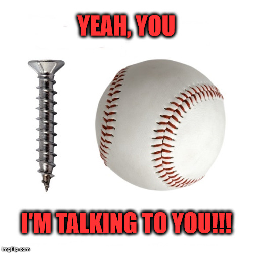 Screw Ball | YEAH, YOU; I'M TALKING TO YOU!!! | image tagged in memes,idiots,dummy | made w/ Imgflip meme maker