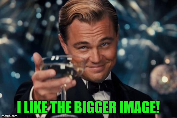 Leonardo Dicaprio Cheers Meme | I LIKE THE BIGGER IMAGE! | image tagged in memes,leonardo dicaprio cheers | made w/ Imgflip meme maker