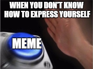 Blank Nut Button Meme | WHEN YOU DON'T KNOW HOW TO EXPRESS YOURSELF; MEME | image tagged in blank nut button | made w/ Imgflip meme maker