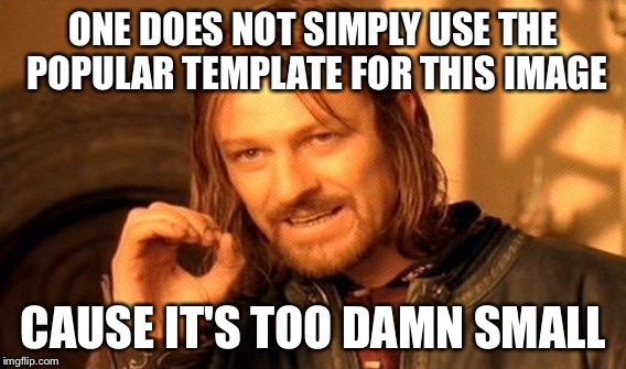 One Does Not Simply Meme | ONE DOES NOT SIMPLY USE THE POPULAR TEMPLATE FOR THIS IMAGE CAUSE IT'S TOO DAMN SMALL | image tagged in memes,one does not simply | made w/ Imgflip meme maker