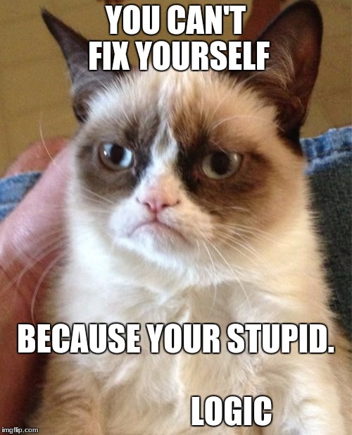 Grumpy Cat Meme | YOU CAN'T FIX YOURSELF BECAUSE YOUR STUPID.                                  LOGIC | image tagged in memes,grumpy cat | made w/ Imgflip meme maker