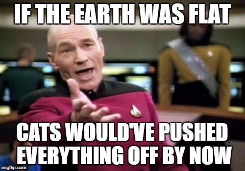 Picard Wtf Meme | IF THE EARTH WAS FLAT CATS WOULD'VE PUSHED EVERYTHING OFF BY NOW | image tagged in memes,picard wtf | made w/ Imgflip meme maker