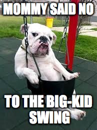 playdate doggy | MOMMY SAID NO; TO THE BIG-KID SWING | image tagged in playdate doggy | made w/ Imgflip meme maker