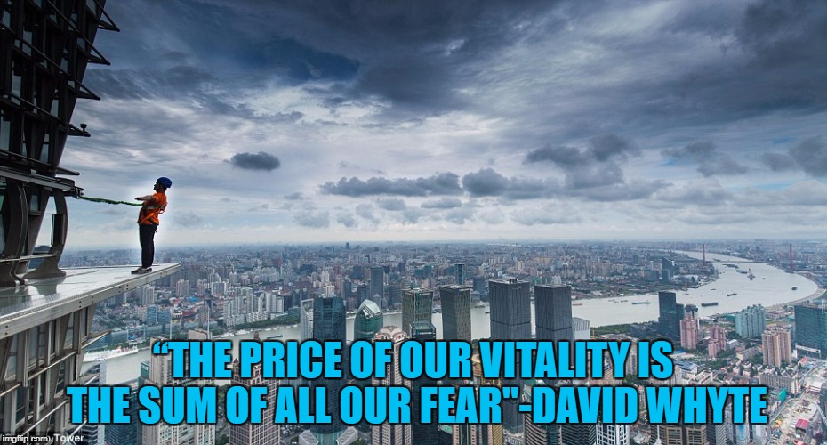 Step Forward | “THE PRICE OF OUR VITALITY IS THE SUM OF ALL OUR FEAR"-DAVID WHYTE | image tagged in poetry,surrender | made w/ Imgflip meme maker