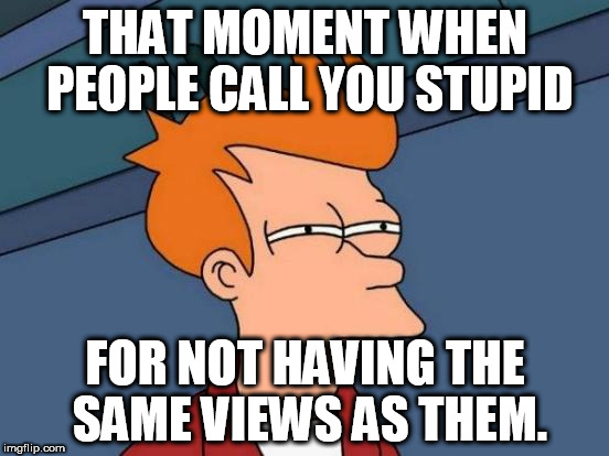Futurama Fry | THAT MOMENT WHEN PEOPLE CALL YOU STUPID; FOR NOT HAVING THE SAME VIEWS AS THEM. | image tagged in memes,futurama fry,stupidity,views,difference,opinions | made w/ Imgflip meme maker