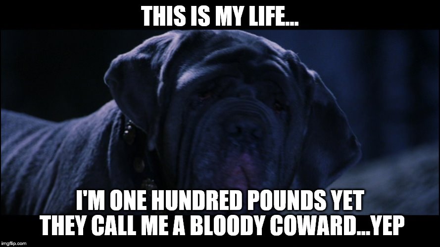 THIS IS MY LIFE... I'M ONE HUNDRED POUNDS YET THEY CALL ME A BLOODY COWARD...YEP | image tagged in fang | made w/ Imgflip meme maker