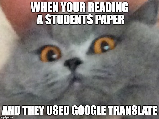 french cat | WHEN YOUR READING A STUDENTS PAPER; AND THEY USED GOOGLE TRANSLATE | image tagged in cats | made w/ Imgflip meme maker