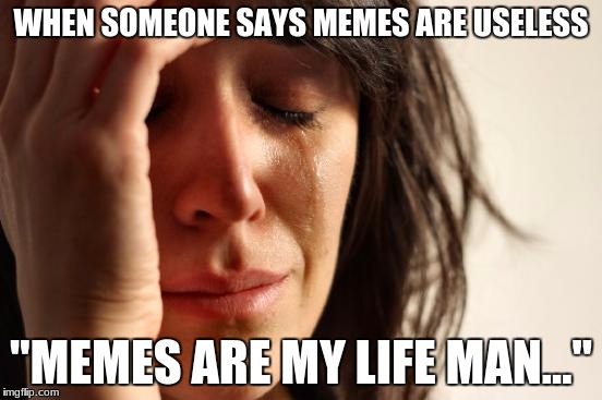 First World Problems Meme | WHEN SOMEONE SAYS MEMES ARE USELESS "MEMES ARE MY LIFE MAN..." | image tagged in memes,first world problems | made w/ Imgflip meme maker