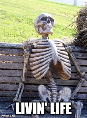Waiting Skeleton Meme | LIVIN' LIFE | image tagged in memes,waiting skeleton | made w/ Imgflip meme maker