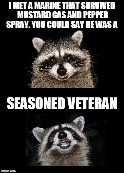 Kind'a leathery too | I MET A MARINE THAT SURVIVED MUSTARD GAS AND PEPPER SPRAY. YOU COULD SAY HE WAS A; SEASONED VETERAN | image tagged in marines,veterans,lame pun coon | made w/ Imgflip meme maker