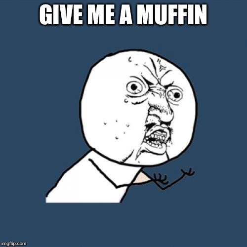 Y U No | GIVE ME A MUFFIN | image tagged in memes,y u no | made w/ Imgflip meme maker