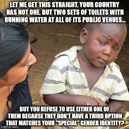 Third World Skeptical Kid Meme | LET ME GET THIS STRAIGHT. YOUR COUNTRY HAS NOT ONE, BUT TWO SETS OF TOILETS WITH RUNNING WATER AT ALL OF ITS PUBLIC VENUES... BUT YOU REFUSE TO USE EITHER ONE OF THEM BECAUSE THEY DON'T HAVE A THIRD OPTION THAT MATCHES YOUR "SPECIAL" GENDER IDENTITY? | image tagged in memes,third world skeptical kid | made w/ Imgflip meme maker