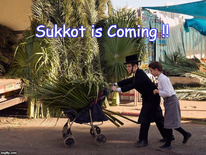 Sukkot is Coming | Sukkot is Coming !! | image tagged in sukkot | made w/ Imgflip meme maker