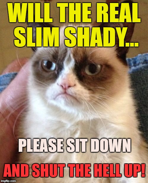 My Name is, My Name is, Marshall Mathers!! (stolen from Socrates) | WILL THE REAL SLIM SHADY... PLEASE SIT DOWN; AND SHUT THE HELL UP! | image tagged in memes,grumpy cat,politics,political meme,political,socrates | made w/ Imgflip meme maker