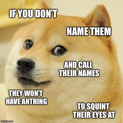 Doge Meme | IF YOU DON’T NAME THEM AND CALL THEIR NAMES THEY WON’T HAVE ANTHING TO SQUINT THEIR EYES AT | image tagged in memes,doge | made w/ Imgflip meme maker