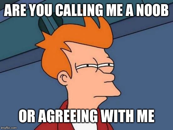 Futurama Fry Meme | ARE YOU CALLING ME A NOOB OR AGREEING WITH ME | image tagged in memes,futurama fry | made w/ Imgflip meme maker