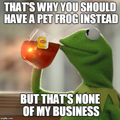 But That's None Of My Business Meme | THAT'S WHY YOU SHOULD HAVE A PET FROG INSTEAD BUT THAT'S NONE OF MY BUSINESS | image tagged in memes,but thats none of my business,kermit the frog | made w/ Imgflip meme maker