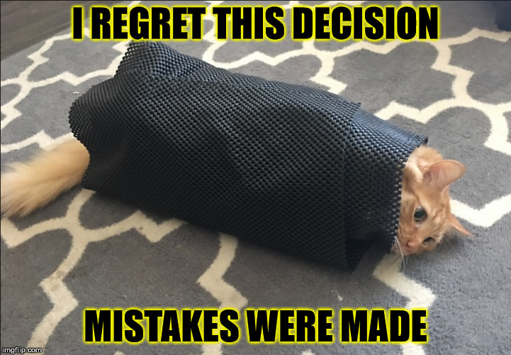 Cat Wrap | I REGRET THIS DECISION; MISTAKES WERE MADE | image tagged in oops,misery,mistakes were made,instant and lingering regret,and that's all i have to say about that,roll safe think about it | made w/ Imgflip meme maker