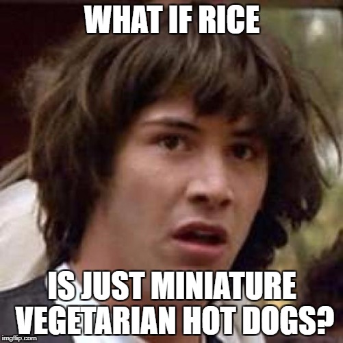 Conspiracy Keanu Meme | WHAT IF RICE; IS JUST MINIATURE VEGETARIAN HOT DOGS? | image tagged in memes,conspiracy keanu | made w/ Imgflip meme maker