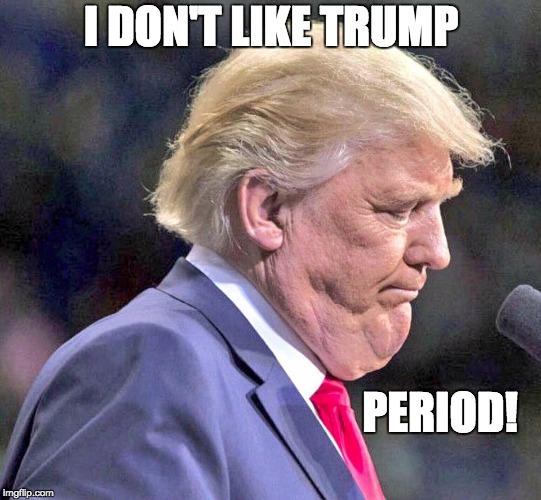 Donald J. Trump | I DON'T LIKE TRUMP; PERIOD! | image tagged in low approval,unfit,unpopular | made w/ Imgflip meme maker