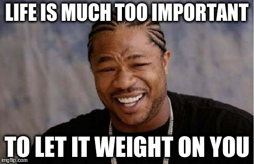 Yo Dawg Heard You Meme | LIFE IS MUCH TOO IMPORTANT TO LET IT WEIGHT ON YOU | image tagged in memes,yo dawg heard you | made w/ Imgflip meme maker