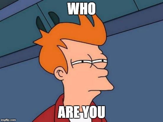 Futurama Fry Meme | WHO; ARE YOU | image tagged in memes,futurama fry | made w/ Imgflip meme maker