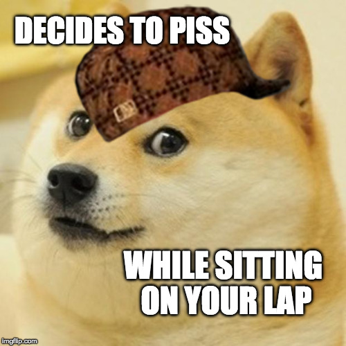 Doge | DECIDES TO PISS; WHILE SITTING ON YOUR LAP | image tagged in memes,doge,scumbag | made w/ Imgflip meme maker
