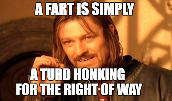 One Does Not Simply Meme | A FART IS SIMPLY; A TURD HONKING FOR THE RIGHT OF WAY | image tagged in memes,one does not simply | made w/ Imgflip meme maker