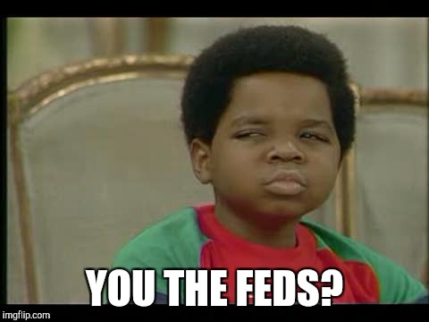 YOU THE FEDS? | image tagged in gary coleman,memes,funny | made w/ Imgflip meme maker