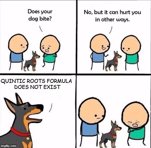 does your dog bite | QUINTIC ROOTS FORMULA DOES NOT EXIST | image tagged in does your dog bite | made w/ Imgflip meme maker