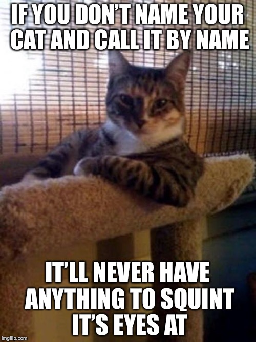 cats | IF YOU DON’T NAME YOUR CAT AND CALL IT BY NAME; IT’LL NEVER HAVE ANYTHING TO SQUINT IT’S EYES AT | image tagged in cats,memes | made w/ Imgflip meme maker