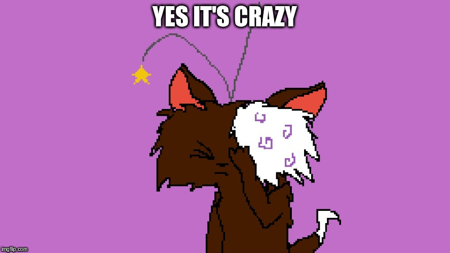 YES IT'S CRAZY | made w/ Imgflip meme maker