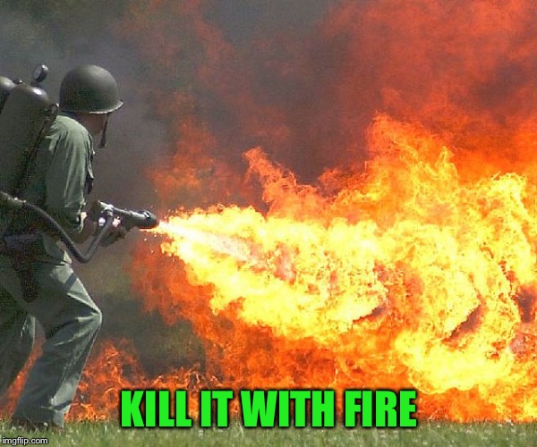 Flamethrower | KILL IT WITH FIRE | image tagged in flamethrower | made w/ Imgflip meme maker