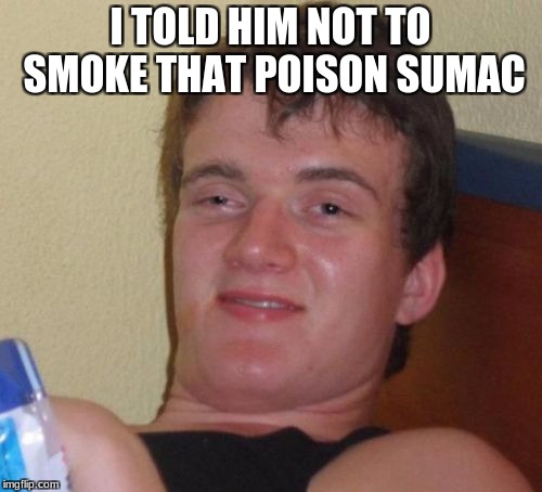 10 Guy Meme | I TOLD HIM NOT TO SMOKE THAT POISON SUMAC | image tagged in memes,10 guy | made w/ Imgflip meme maker