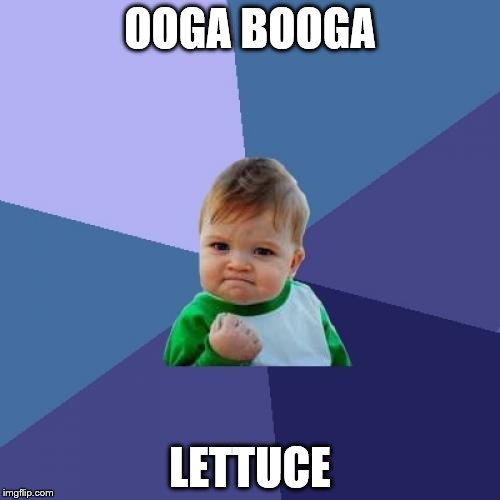 Success Kid Meme | OOGA BOOGA; LETTUCE | image tagged in memes,success kid | made w/ Imgflip meme maker