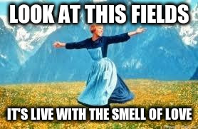 LOOK AT THIS FIELDS IT'S LIVE WITH THE SMELL OF LOVE | made w/ Imgflip meme maker