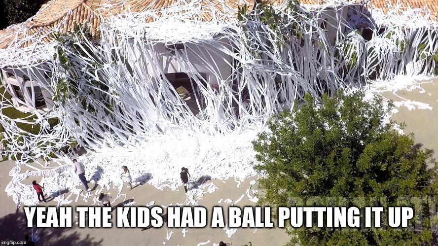 YEAH THE KIDS HAD A BALL PUTTING IT UP | made w/ Imgflip meme maker