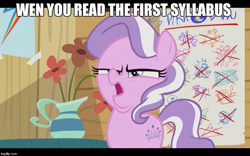 MLP WTF | WEN YOU READ THE FIRST SYLLABUS | image tagged in mlp wtf | made w/ Imgflip meme maker