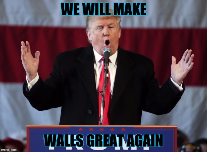 Make america great again | WE WILL MAKE; WALLS GREAT AGAIN | image tagged in make america great again | made w/ Imgflip meme maker