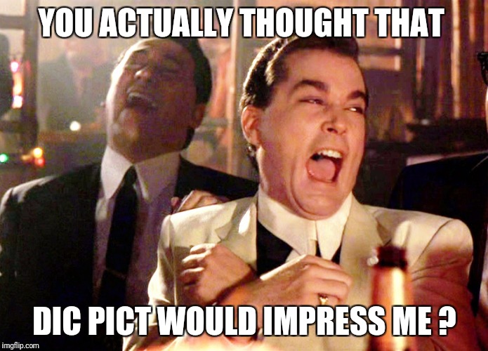 Good Fellas Hilarious Meme | YOU ACTUALLY THOUGHT THAT; DIC PICT WOULD IMPRESS ME ? | image tagged in memes,good fellas hilarious | made w/ Imgflip meme maker