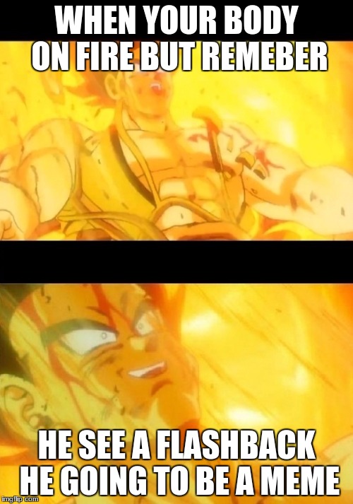 i die ,but at least im a meme | WHEN YOUR BODY ON FIRE BUT REMEBER; HE SEE A FLASHBACK HE GOING TO BE A MEME | image tagged in bardock meme,meme,dank meme,dbz meme | made w/ Imgflip meme maker