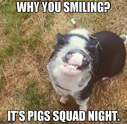 WHY YOU SMILING? IT'S PIGS SQUAD NIGHT. | made w/ Imgflip meme maker