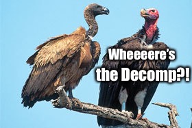 Wheeeere’s the Decomp?! | made w/ Imgflip meme maker