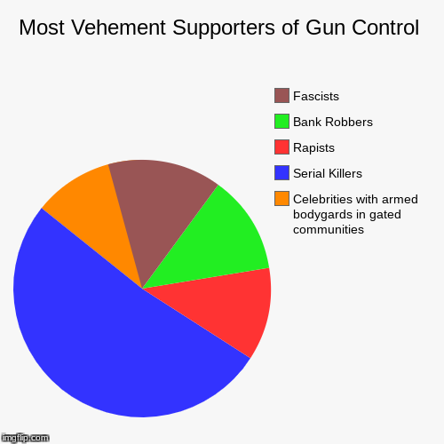 Gun Control Now! | image tagged in funny,pie charts,gun control,celebrities,liberal hypocrisy,politics | made w/ Imgflip chart maker